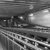 Coal Conveyors