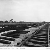 Railway sidings 202 26 Aug 1954 Railway sidings 202 26Aug 1954