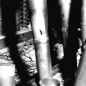 Boiler tube leak.