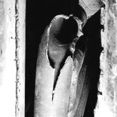 Boiler tube leak