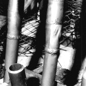 boiler tube leak