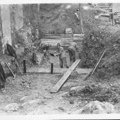 Building the extension