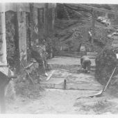 Building the extension