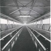 Staythorpe B - Coal conveyor