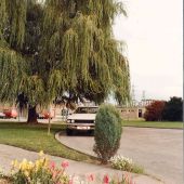 Outside view of Castle Donington.